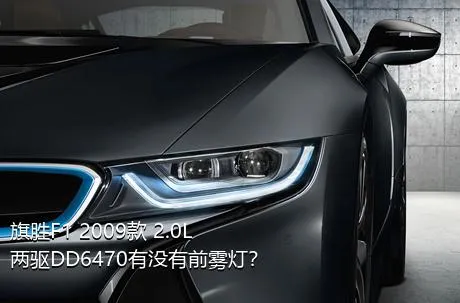 旗胜F1 2009款 2.0L 两驱DD6470有没有前雾灯？
