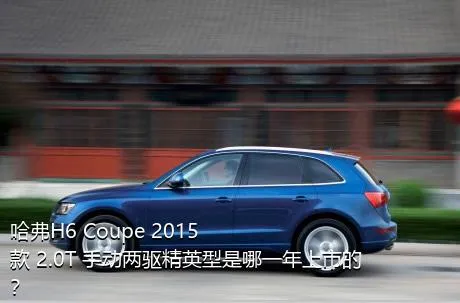哈弗H6 Coupe 2015款 2.0T 手动两驱精英型是哪一年上市的？