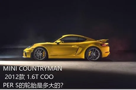 MINI COUNTRYMAN 2012款 1.6T COOPER S的轮胎是多大的？