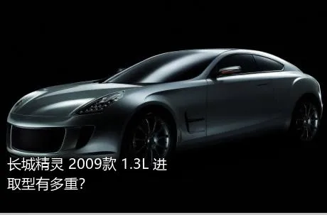 长城精灵 2009款 1.3L 进取型有多重？