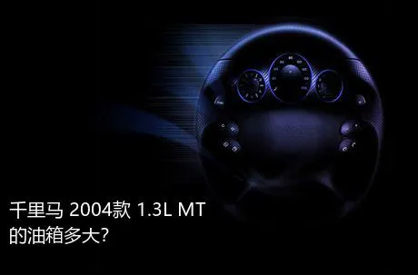 千里马 2004款 1.3L MT的油箱多大？
