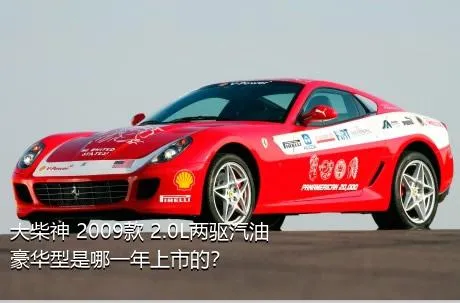 大柴神 2009款 2.0L两驱汽油豪华型是哪一年上市的？