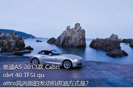 奥迪A5 2013款 Cabriolet 40 TFSI quattro风尚版的发动机供油方式是？