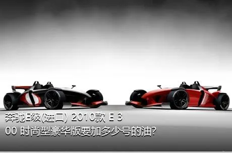 奔驰E级(进口) 2010款 E 300 时尚型豪华版要加多少号的油？