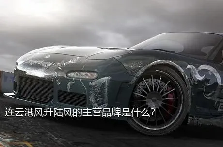 连云港风升陆风的主营品牌是什么？