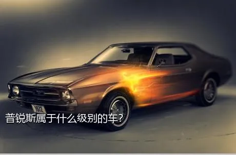 普锐斯属于什么级别的车？