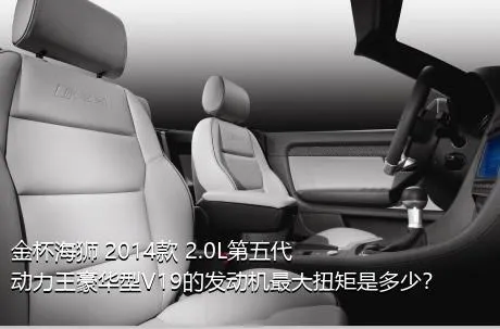 金杯海狮 2014款 2.0L第五代动力王豪华型V19的发动机最大扭矩是多少？