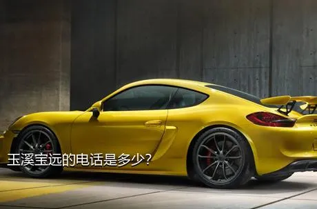 玉溪宝远的电话是多少？