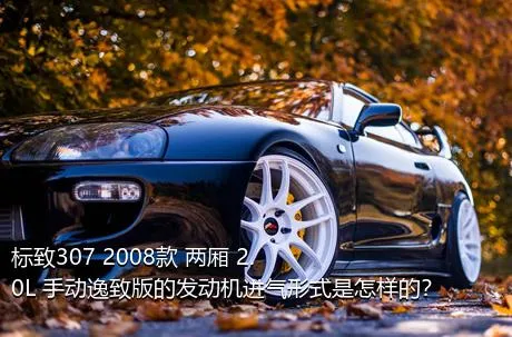 标致307 2008款 两厢 2.0L 手动逸致版的发动机进气形式是怎样的？