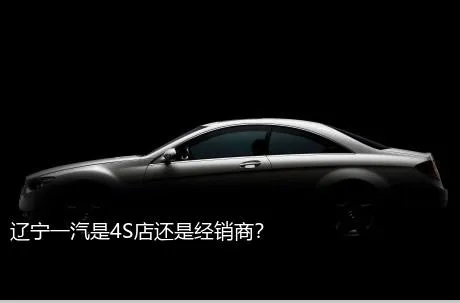 辽宁一汽是4S店还是经销商？