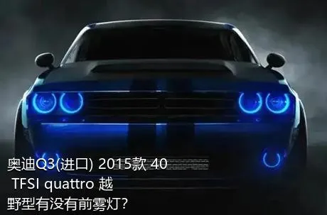奥迪Q3(进口) 2015款 40 TFSI quattro 越野型有没有前雾灯？