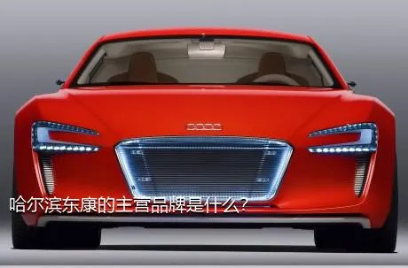 哈尔滨东康的主营品牌是什么？