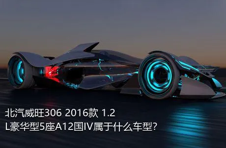 北汽威旺306 2016款 1.2L豪华型5座A12国IV属于什么车型？