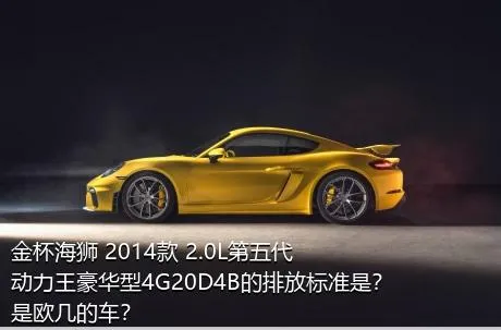 金杯海狮 2014款 2.0L第五代动力王豪华型4G20D4B的排放标准是？是欧几的车？
