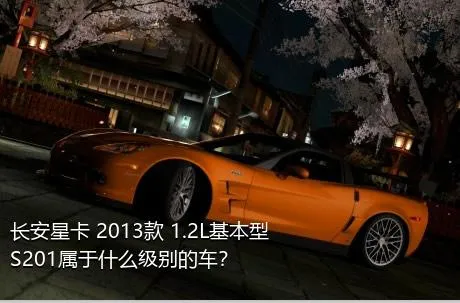 长安星卡 2013款 1.2L基本型S201属于什么级别的车？