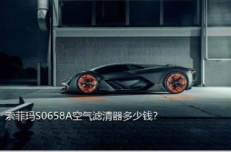 索菲玛S0658A空气滤清器多少钱？