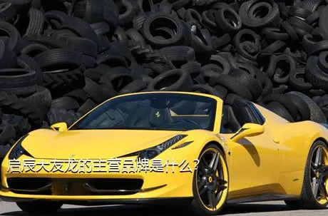 启辰大友龙的主营品牌是什么？