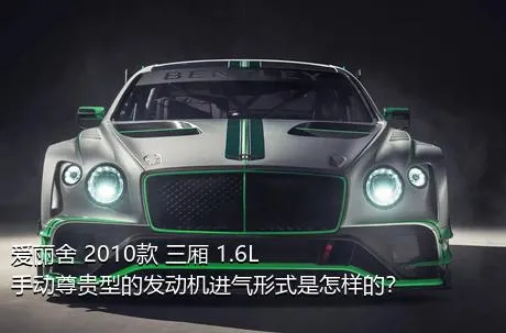 爱丽舍 2010款 三厢 1.6L 手动尊贵型的发动机进气形式是怎样的？