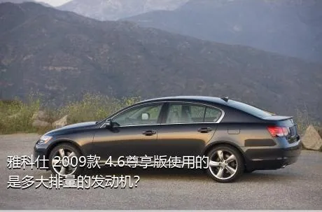 雅科仕 2009款 4.6尊享版使用的是多大排量的发动机？