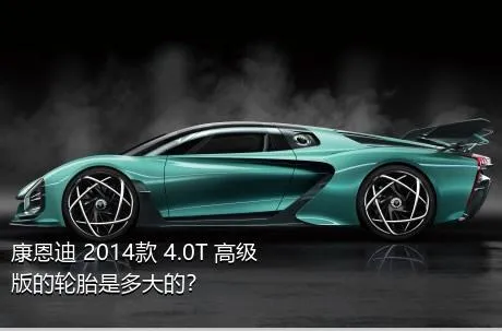 康恩迪 2014款 4.0T 高级版的轮胎是多大的？