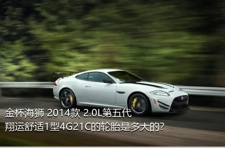 金杯海狮 2014款 2.0L第五代翔运舒适1型4G21C的轮胎是多大的？