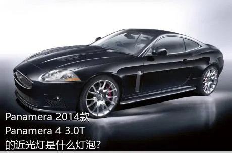 Panamera 2014款 Panamera 4 3.0T的近光灯是什么灯泡？