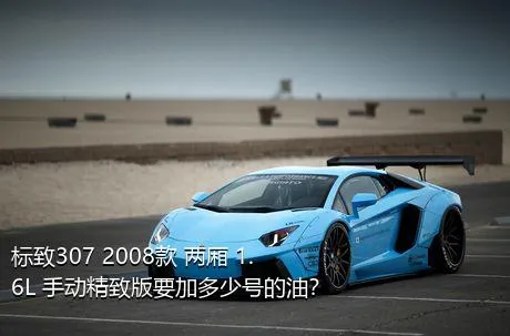 标致307 2008款 两厢 1.6L 手动精致版要加多少号的油？