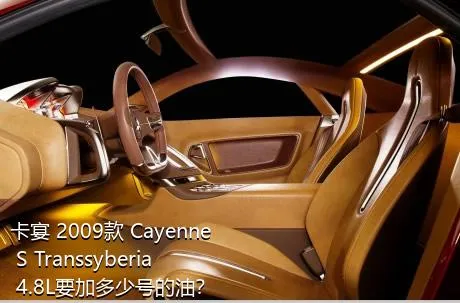 卡宴 2009款 Cayenne S Transsyberia 4.8L要加多少号的油？