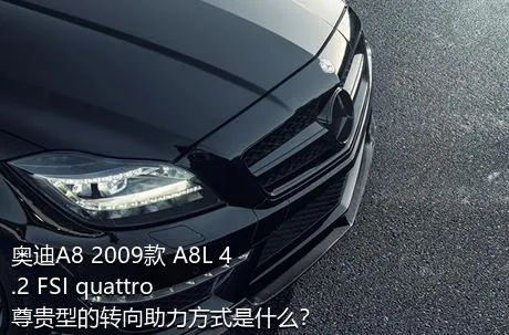 奥迪A8 2009款 A8L 4.2 FSI quattro 尊贵型的转向助力方式是什么？