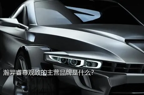 瀚羿睿尊观致的主营品牌是什么？