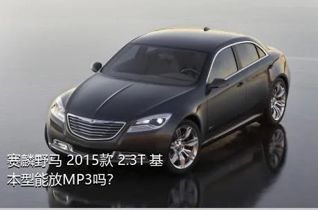 赛麟野马 2015款 2.3T 基本型能放MP3吗？