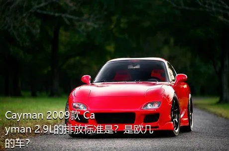 Cayman 2009款 Cayman 2.9L的排放标准是？是欧几的车？
