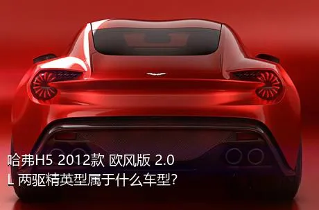 哈弗H5 2012款 欧风版 2.0L 两驱精英型属于什么车型？