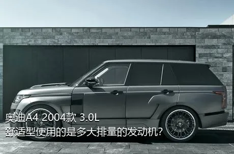 奥迪A4 2004款 3.0L 舒适型使用的是多大排量的发动机？