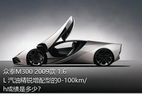 众泰M300 2009款 1.6L 汽油精锐增配型的0-100km/h成绩是多少？