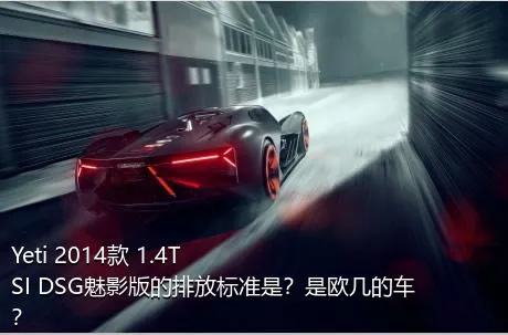 Yeti 2014款 1.4TSI DSG魅影版的排放标准是？是欧几的车？