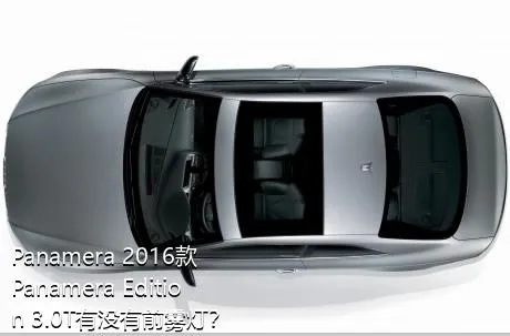 Panamera 2016款 Panamera Edition 3.0T有没有前雾灯？