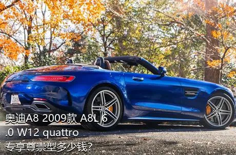 奥迪A8 2009款 A8L 6.0 W12 quattro 专享尊崇型多少钱？