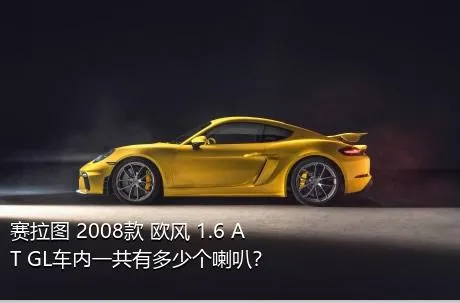赛拉图 2008款 欧风 1.6 AT GL车内一共有多少个喇叭？
