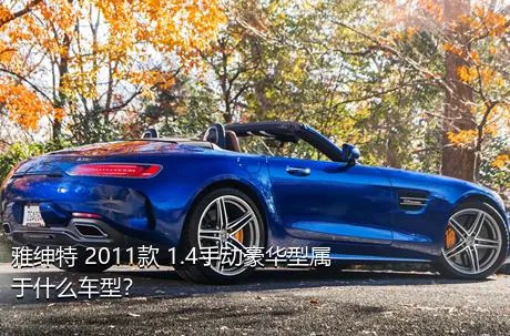 雅绅特 2011款 1.4手动豪华型属于什么车型？