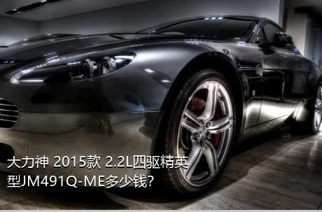 大力神 2015款 2.2L四驱精英型JM491Q-ME多少钱？