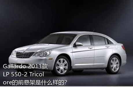 Gallardo 2011款 LP 550-2 Tricolore的前悬架是什么样的？