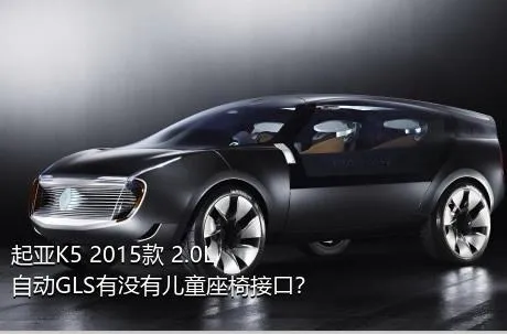 起亚K5 2015款 2.0L 自动GLS有没有儿童座椅接口？