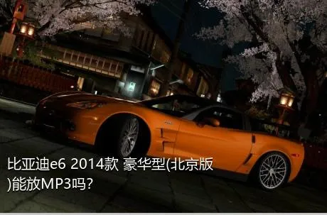 比亚迪e6 2014款 豪华型(北京版)能放MP3吗？