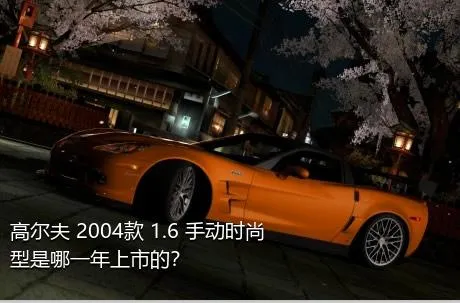 高尔夫 2004款 1.6 手动时尚型是哪一年上市的？