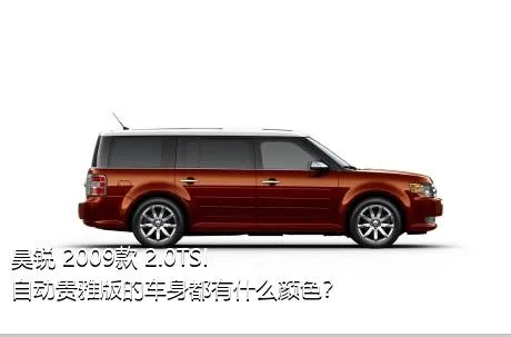 昊锐 2009款 2.0TSI 自动贵雅版的车身都有什么颜色？