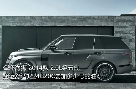 金杯海狮 2014款 2.0L第五代翔运舒适1型4G20C要加多少号的油？