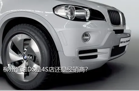 柳州恒璟DS是4S店还是经销商？