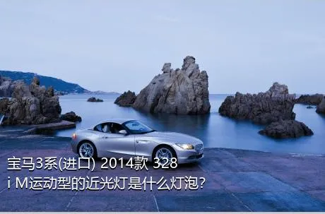 宝马3系(进口) 2014款 328i M运动型的近光灯是什么灯泡？