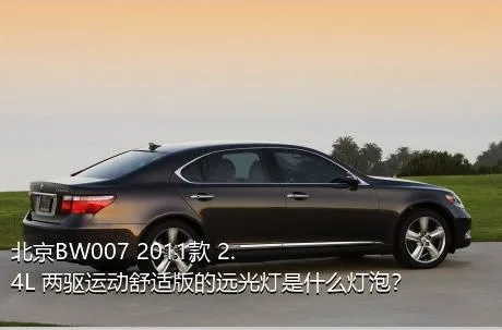 北京BW007 2011款 2.4L 两驱运动舒适版的远光灯是什么灯泡？